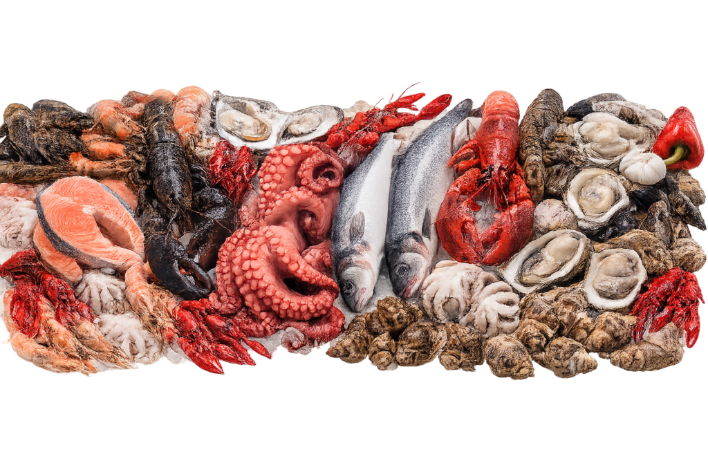 supplier seafood bali