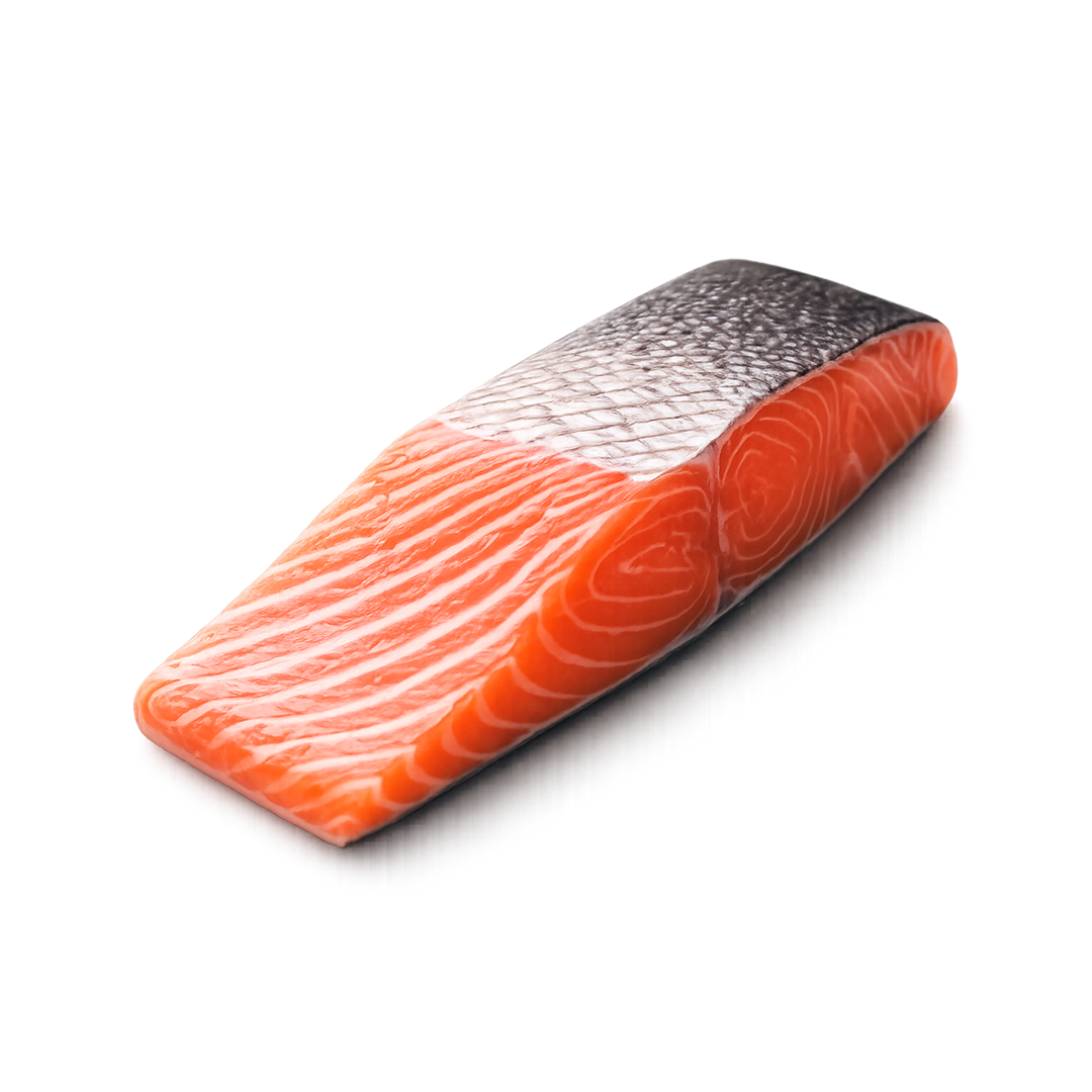 salmon, tuna, mahi mahi, lobster
